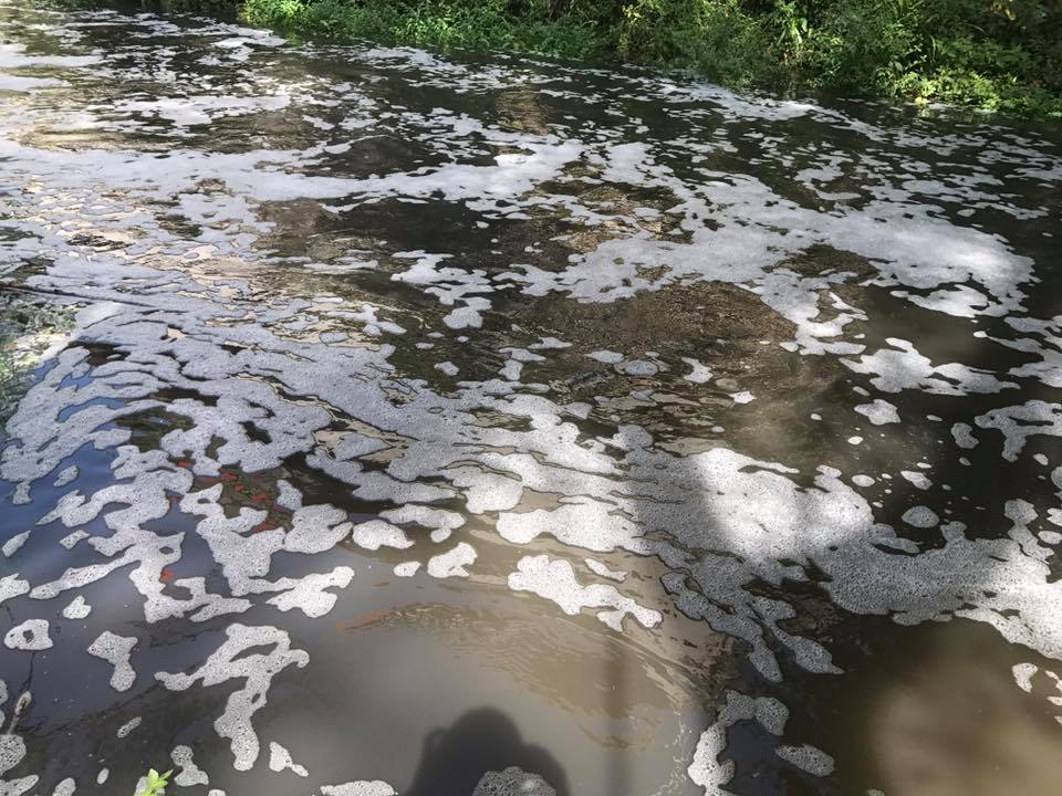 Acqua nera e pesci morti: è allarme nel fiume Liri