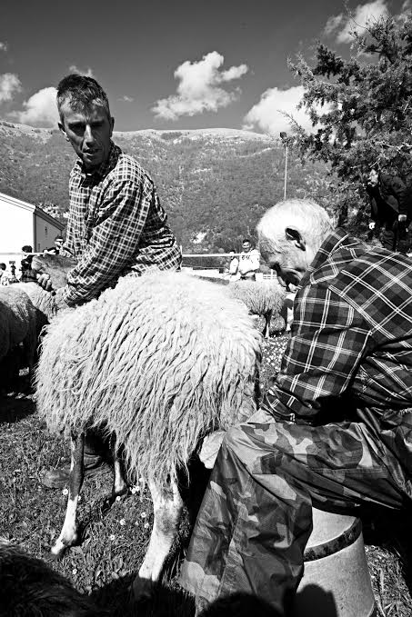 Quindici maggio coi pastori a Civita D’Antino