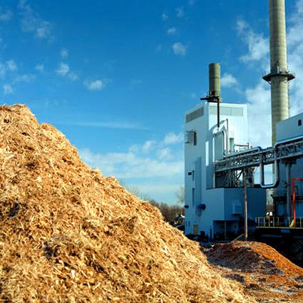 Centrale-a-Biomasse-Powercrop