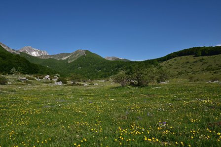 La Regione Abruzzo approva le misure di conservazione sito specifiche del SIC “Parco Nazionale D’Abruzzo”