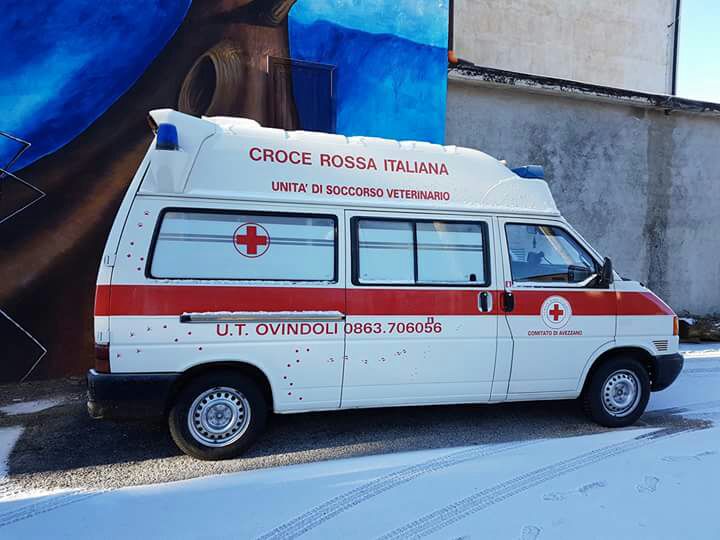 Ambulanza veterinaria ad Ovindoli, bloccatoil progetto dei volontari della Cri