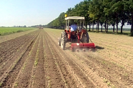 agricoltura-sicurezzalavoro