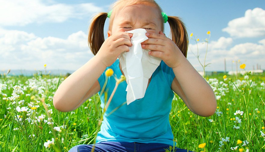 Allergie dell’eta’ pediatrica: 100 specialisti di Abruzzo e Lazio si confrontano sulle nuove terapie