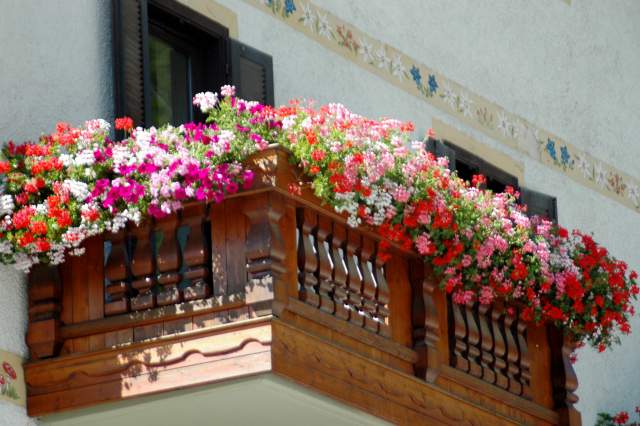 balconi fioritit