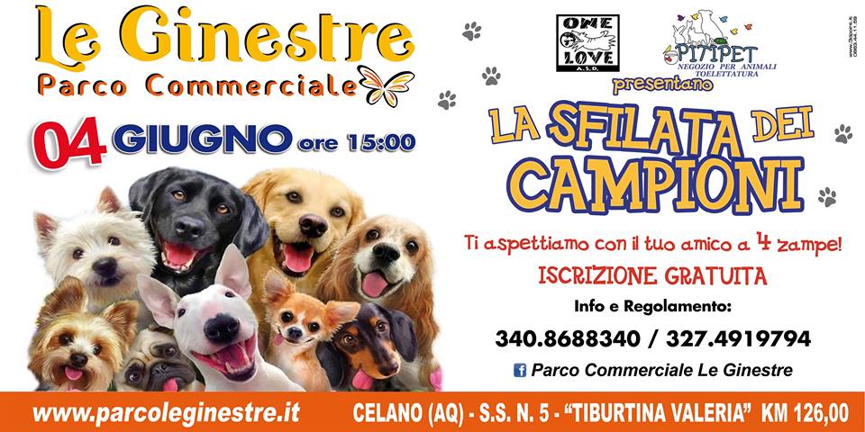 Appuntamento a Celano con "La sfilata dei campioni", domani l'evento dedicato ai cani più belli