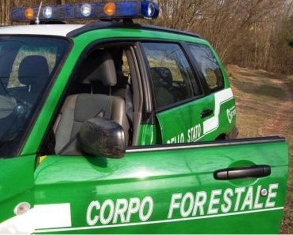 corpo-forestale