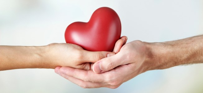 L'importanza della donazione degli organi: se ne parla al Liceo Scientifico di Avezzano