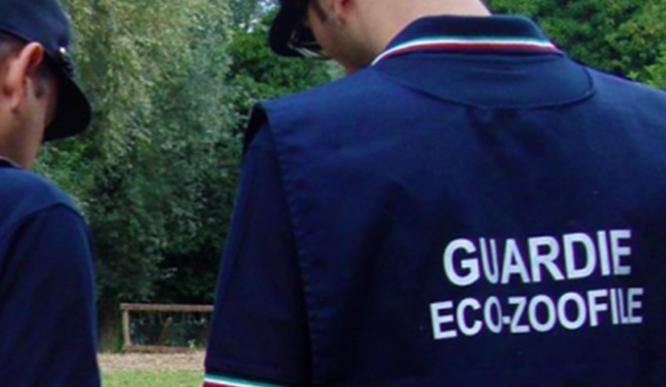 “XV Corso Allievi Guardie Ecozoofile Regionali”: cerimonia di consegna degli attestati ai nuovi operatori