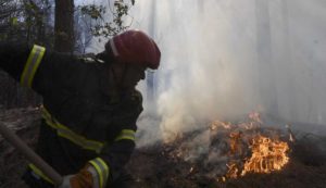 Prevenzione rischio incendi, l'ordinanza del sindaco De Angelis