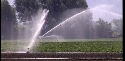 Coldiretti "Soddisfazione, tutti i Comuni del Fucino concordi nel vietare l’irrigazione nelle campagne nei giorni di sabato e domenica"