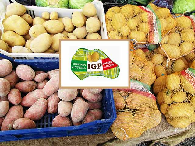 Patata IGP del Fucino, deliberati i prezzi di prodotto per la campagna 2018