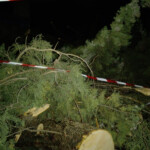 Tempesta di vento ad Avezzano. Caduti alberi, cavi elettrici e persino tralicci per telecomunicazioni