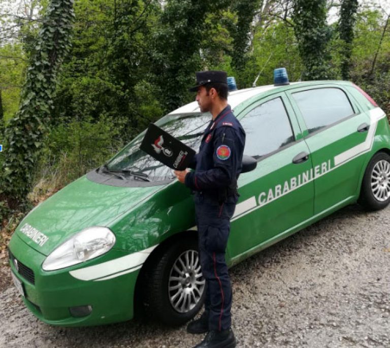 carabinieri foresta facebook