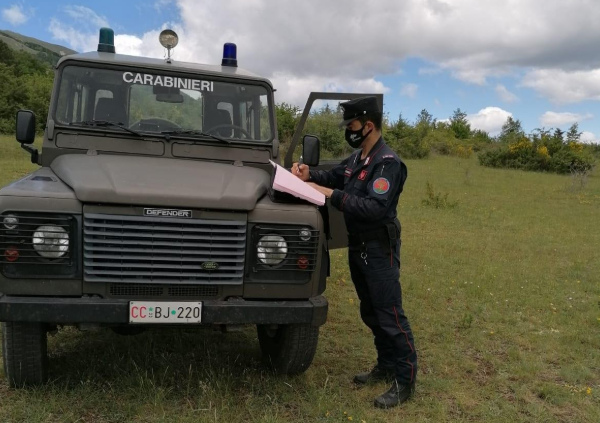 carabinieri forestali collelongo