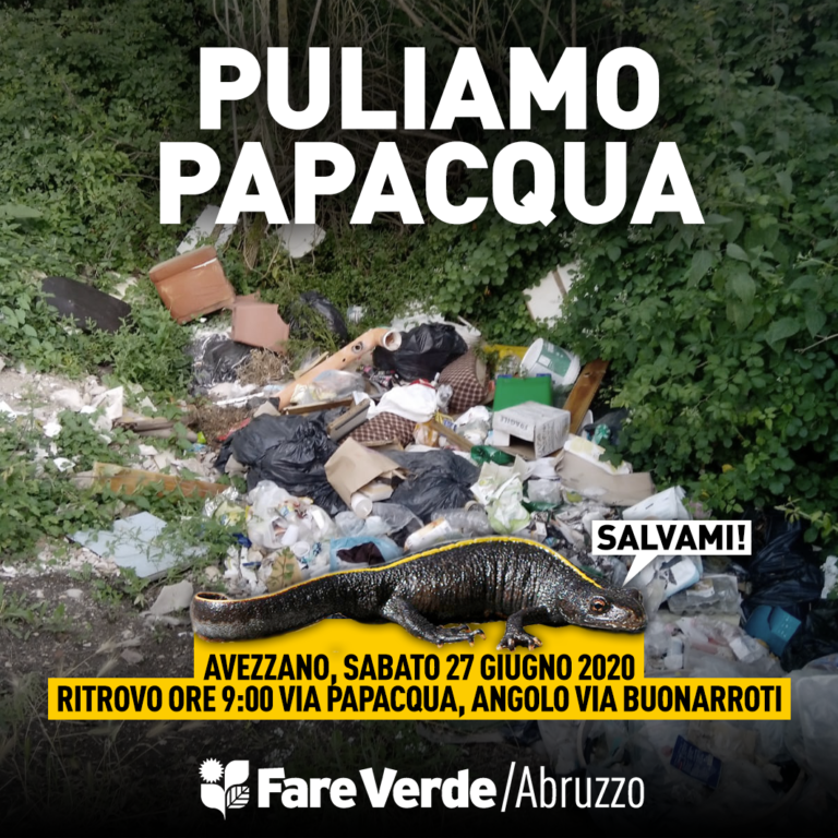 FV_pulizia_Papacqua