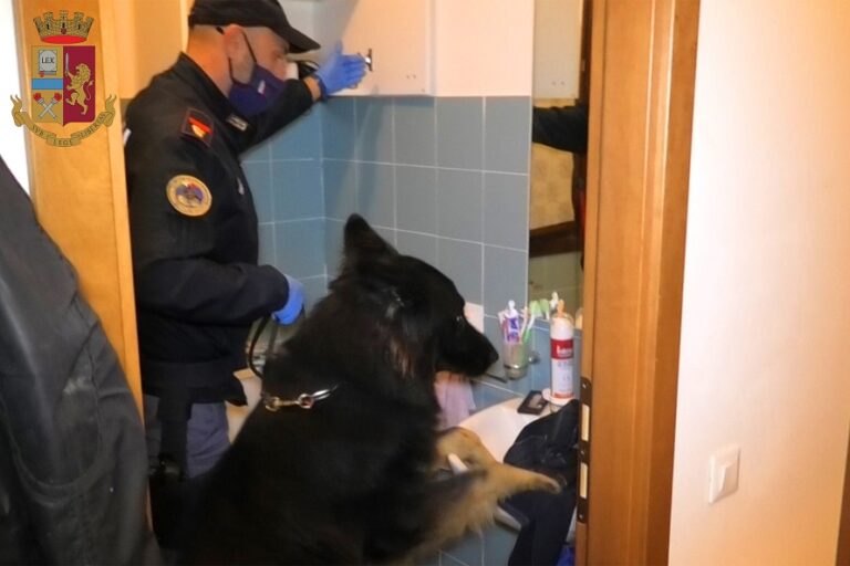 cane polizia arresti