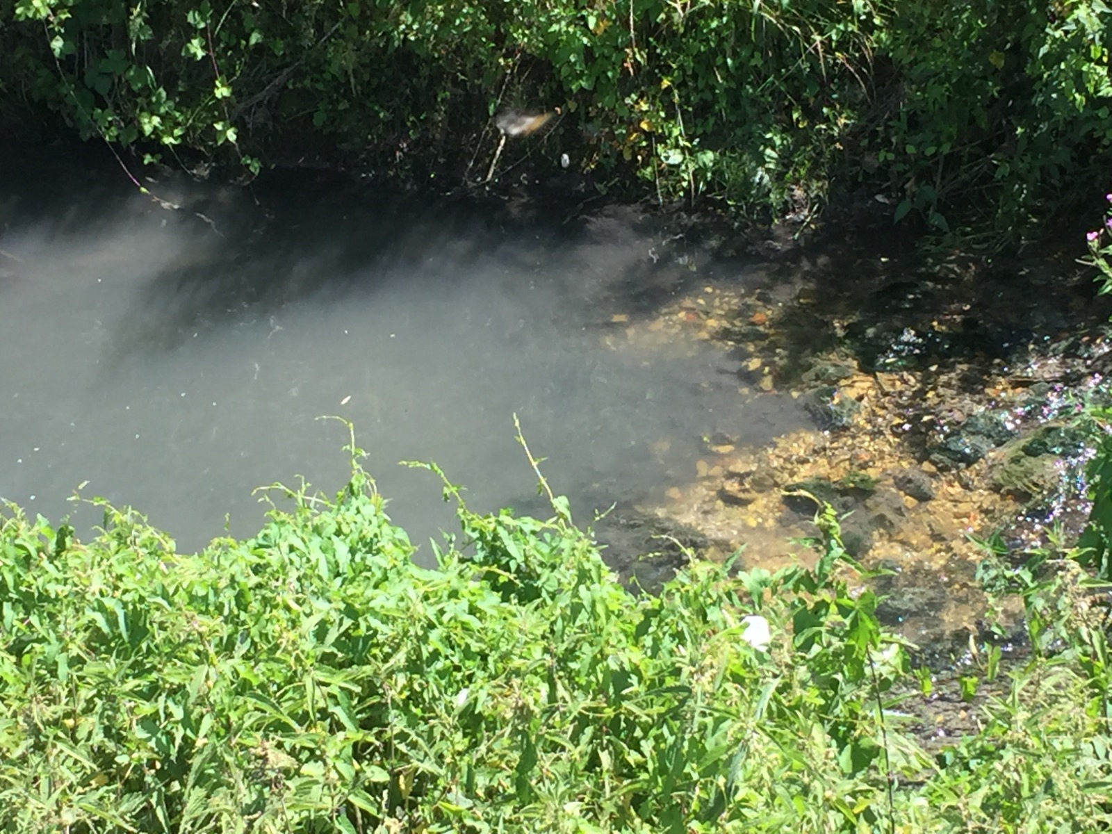 Scarico fiume Imele, acque torbide e maleodoranti, Fare Verde e NOVPC segnalano all’ARTA