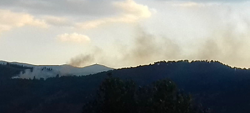 Incendio sul Monte Salviano, quattro squadre di Vigili Del Fuoco in azione