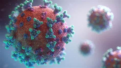 Emergenza Coronavirus, bollettino giornaliero alle ore 20 per il Comune di Collelongo