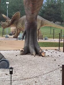 Atti vandalici al Dino Park di Avezzano?