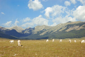 PIANI DI PEZZA (foto Romano Sfirri)