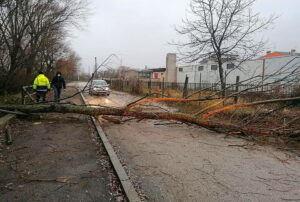 A Pescina un albero crolla a terra per il maltempo, vietato il transito lungo la pista ciclabile