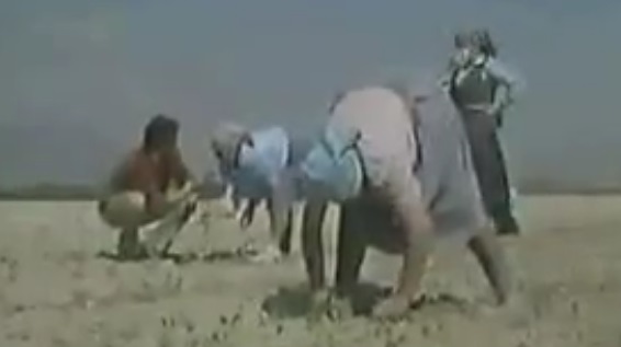Le contadine del Fucino in una straordinaria testimonianza video del 1984