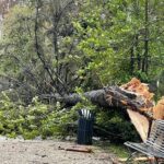 L'amministrazione comunale di Tagliacozzo mette in sicurezza il parco della Rimembranza dal pericolo di caduta degli alberi