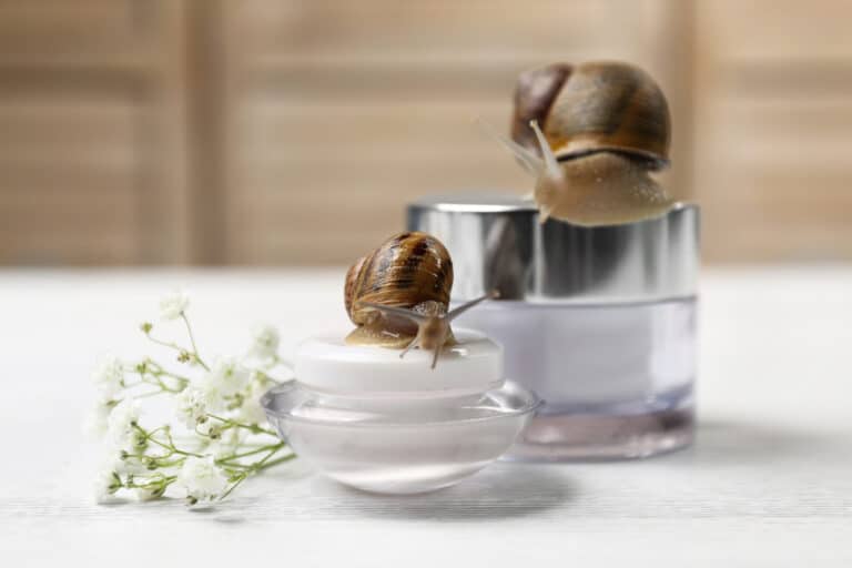 Snail,,Jar,With,Cream,And,Baby,Breath,Flowers,On,White