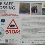 Segnaletica del progetto Life Safe Crossing installata a Lecce nei Marsi
