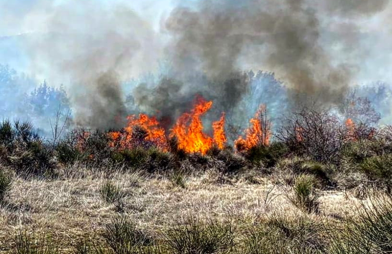 Incendio a Pescina. Sindaco Zauri: "non capisco chi continua a far del male al nostro territorio"