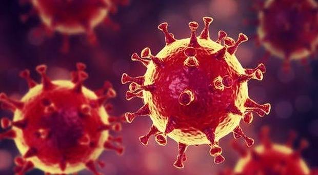 Coronavirus in Abruzzo: oggi 302 guariti e174 nuovi positivi (+89 in provincia dell'Aquila)