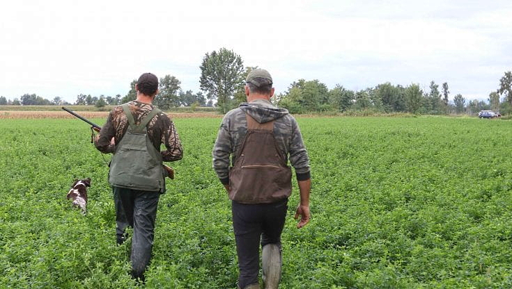 Terreni agricoli esclusi dalla caccia: primo risultato grazie all'azione promossa dal WWF Abruzzo