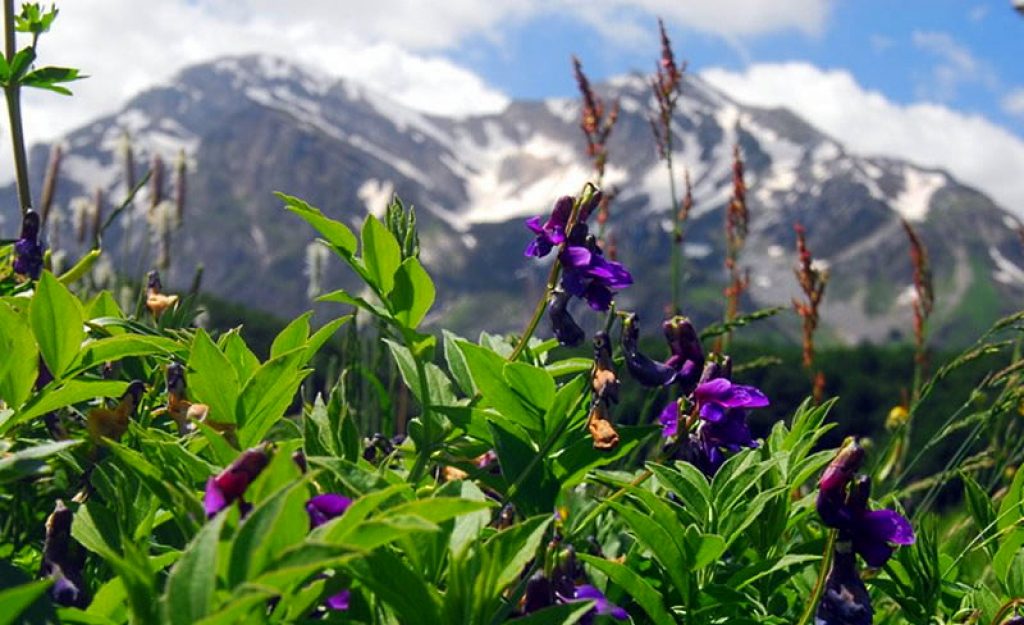 Domani il Parco Nazionale della Maiella diventa Geoparco Mondiale dell’UNESCO