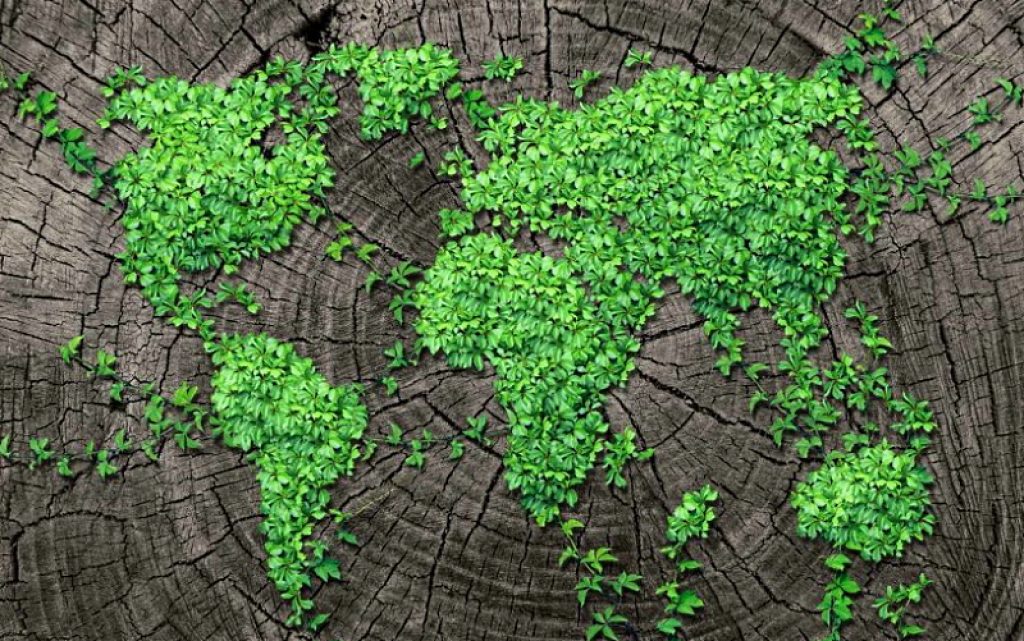 Giornata mondiale della Terra: Campitelli: “Tutelare il pianeta è nostro dovere"