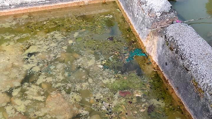 Inquinate le acque del fontanile di Pescina