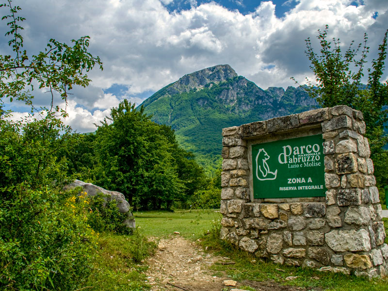 Nominato il nuovo Direttivo del Parco Nazionale D'Abruzzo