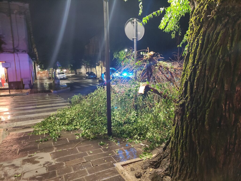 Maltempo, caduto grosso ramo al centro di Avezzano
