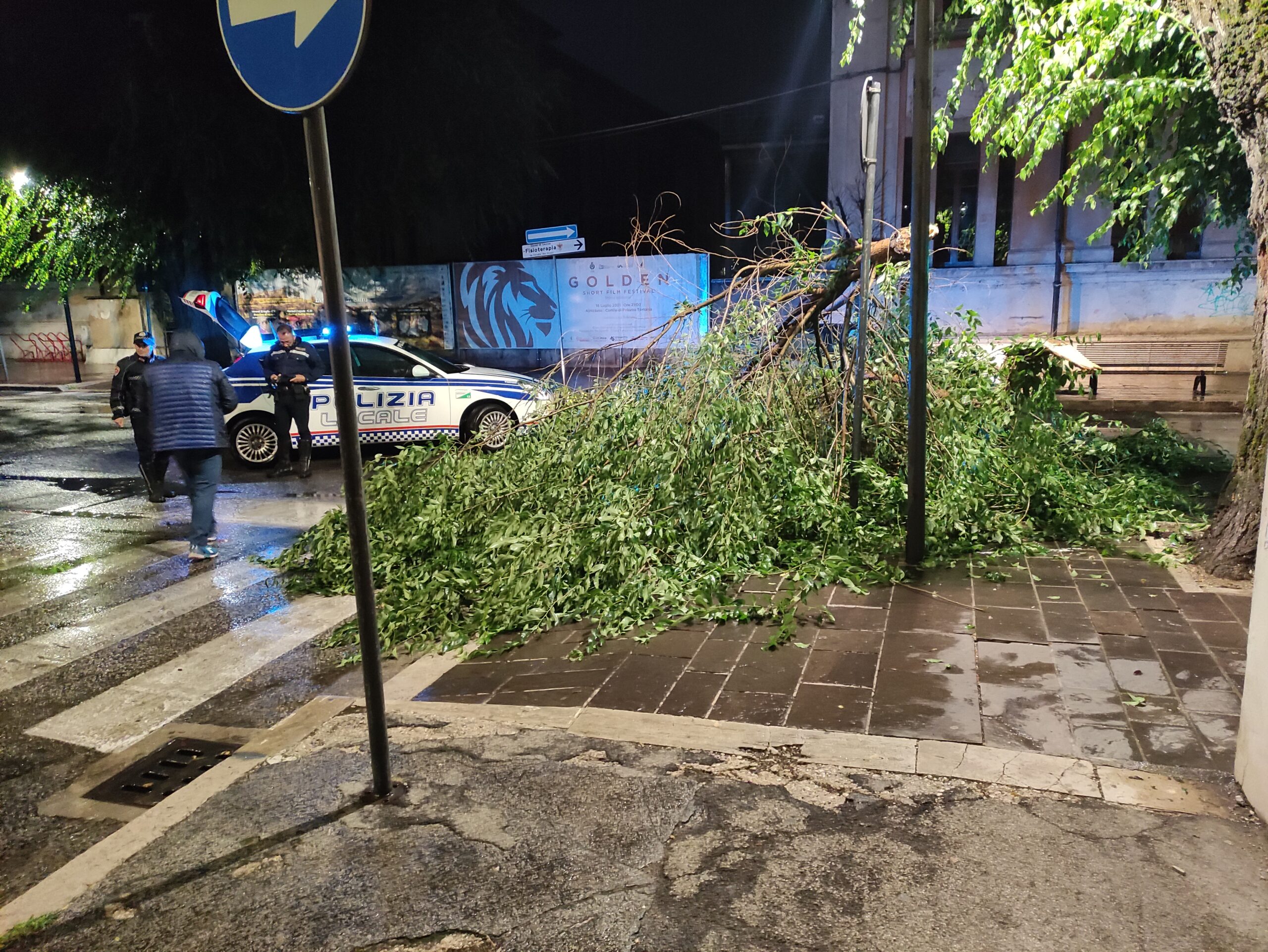 Maltempo, caduto grosso ramo al centro di Avezzano