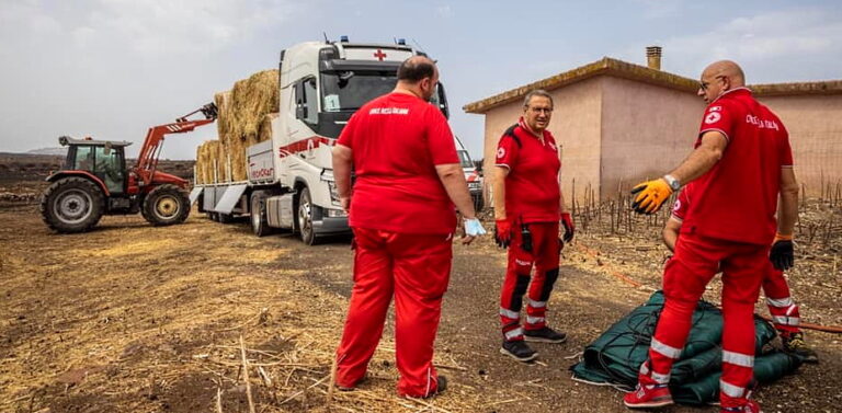 Arrivano anche dalla Croce Rossa abruzzese gli aiuti per gli allevatori sardi in difficoltà dopo gli incendi
