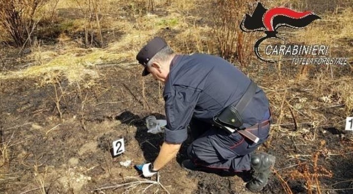 Incendi a L’Aquila: Carabinieri Forestali intervengono per indagare sulle cause dei roghi