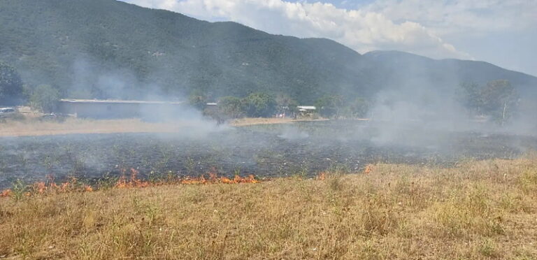 Nuovo incendio nelle campagne di Collelongo
