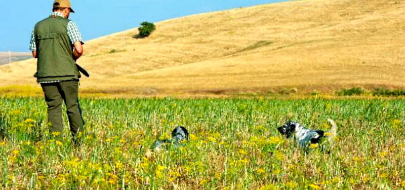 La Giunta Regionale d'Abruzzo ha approvato il nuovo Calendario venatorio 2021-22