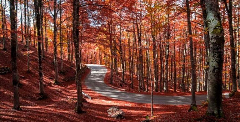 Forca d'Acero tra i luoghi meravigliosi da vedere in autunno secondo Viaggiando Italia