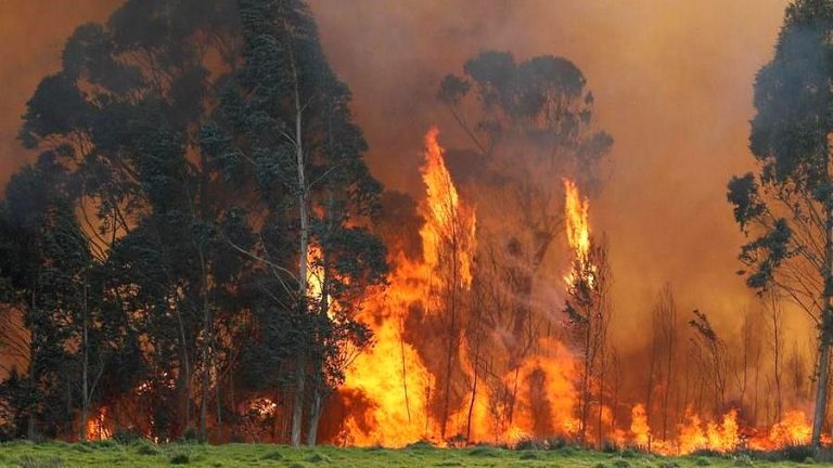 Contrasto ai roghi estivi: pene ancora più severe per chi causa gli incendi boschivi