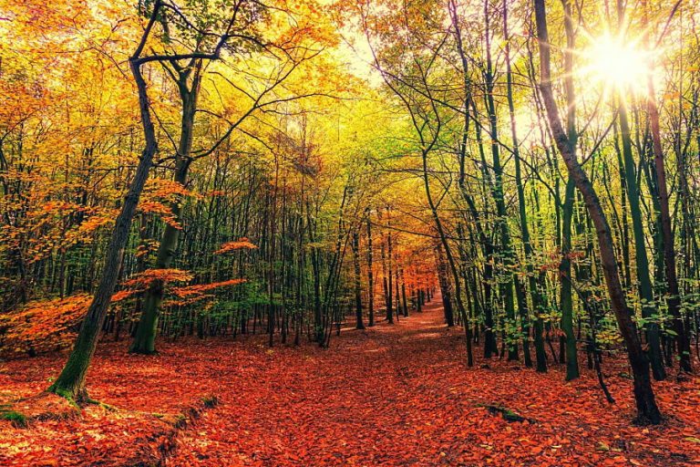 GreenMe, il Cammino dei Briganti è tra i 10 cammini più belli d’Europa per ammirare i colori dell’autunno