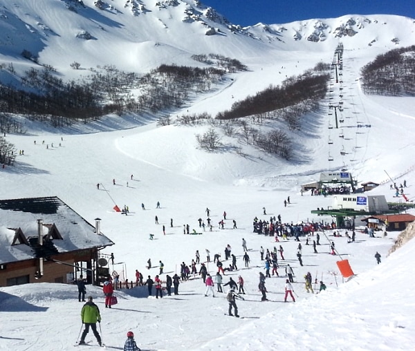 Impianti da sci Monte Magnola, oggi discussione al TAR, WWF Abruzzo: "a rischio aree di grande pregio naturalistico"