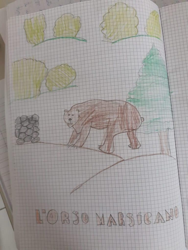 I bambini della scuola primaria di Castellafiume hanno "incontrato" l'orso bruno marsicano
