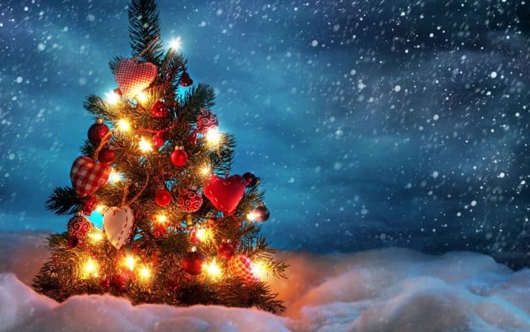 Pescina, tutto pronto per l’accensione dell’albero di Natale del Centro Studi “Ignazio Silone”