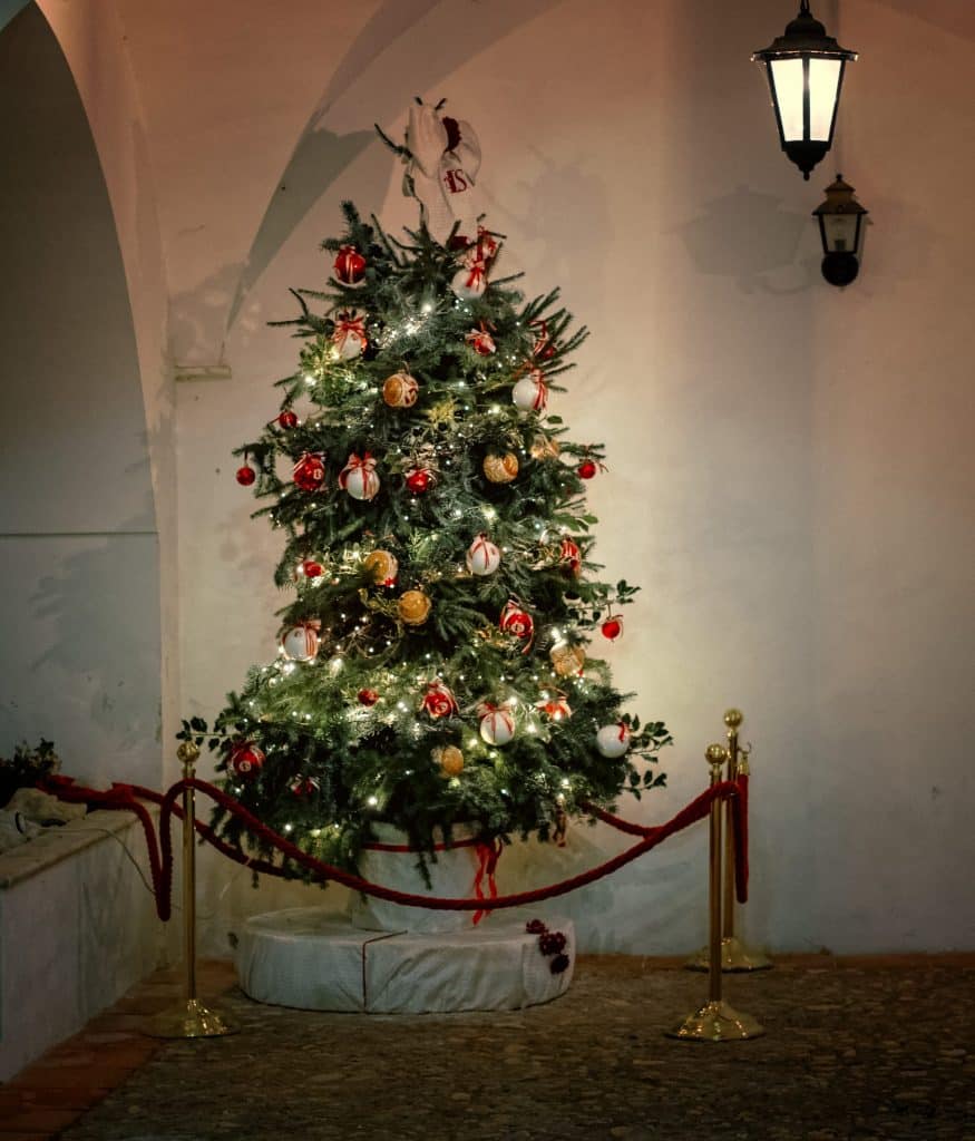 Nel chiostro del Teatro San Francesco, s'illumina l'arte dell'albero di Natale del Centro Studi Ignazio Silone